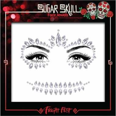 Zilveren day of the dead sugar skull make up steentjes set carnavalskleding roosendaal