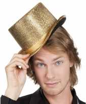 Carnavalskleding gouden hoge hoed roosendaal