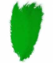 Carnavalskleding grote veer struisvogelveren groen verkleed accessoire roosendaal