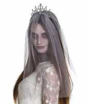 Carnavalskleding halloween zilveren kroontje grijze sluier volwassenen roosendaal