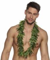Carnavalskleding hawaii krans cannabis roosendaal