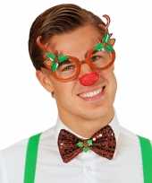 Carnavalskleding kerst rendier bril roosendaal