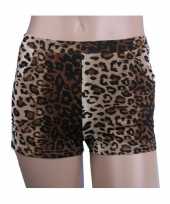 Carnavalskleding luipaard print hotpants dames roosendaal