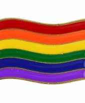 Carnavalskleding regenboog pride vlag metalen pin broche roosendaal