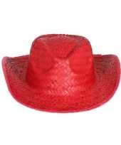 Carnavalskleding toppers rode cowboy strohoed volwassenen roosendaal
