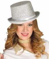 Carnavalskleding zilveren glitter hoge hoed volwassenen roosendaal